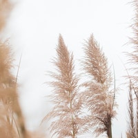 サンプルグループ-7