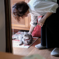 ほしまど