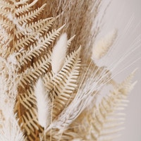 サンプル公式グループ-1