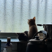 よね