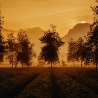 サンプルグループ-3