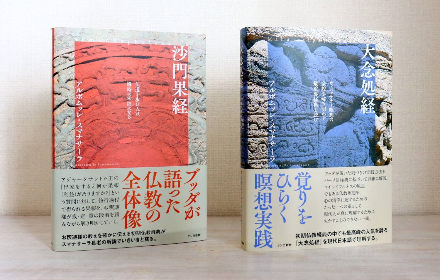 沙門果経 - 法藏館 おすすめ仏教書専門出版と書店（東本願寺前）－仏教