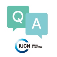 #教えて道家さん