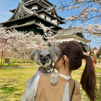 かな | ASOBOKKA運営