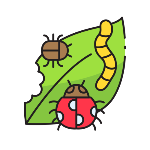 生き物部