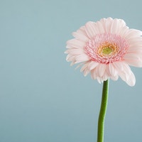 5期2級講座受講生