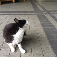 おわふぃーぬ