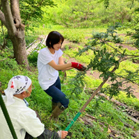 みさ