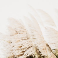 サンプルグループ-4