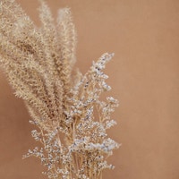 サンプル公式グループ-2