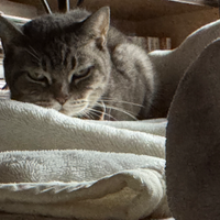 名無しさん(∂ω∂)