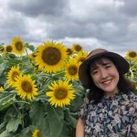 ひかる