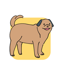 もふもふルーム