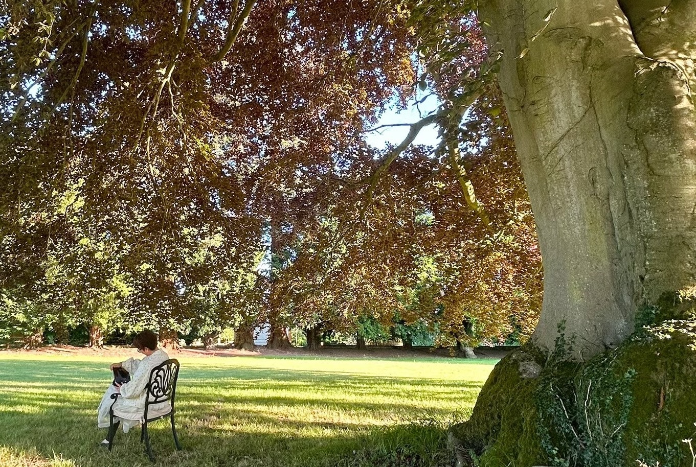 オンラインフィットネス