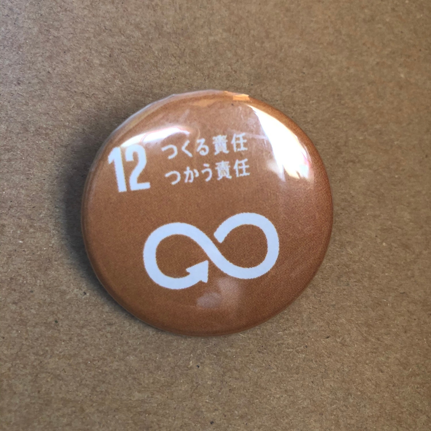 りんりん通信vol 6 Little Life Lab