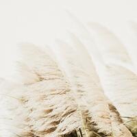 サンプルグループ-4