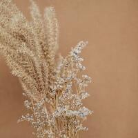 サンプル公式グループ-2