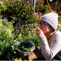 Nhkワールドで紹介していただきました キャンプでの学び Lifestyledesign Camp