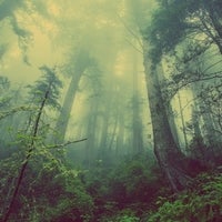哲学と思想の森