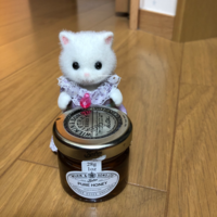 シルバニア写真練習室