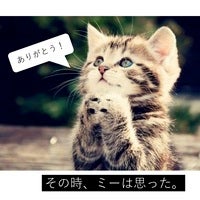 ポジティ部