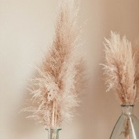 オプションプランテスト