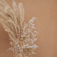 サンプル公式グループ-2