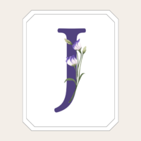 ジャニーズ