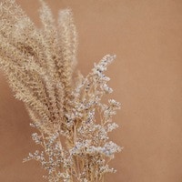 サンプル公式グループ-2