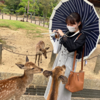 みみりん
