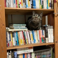 はねこ