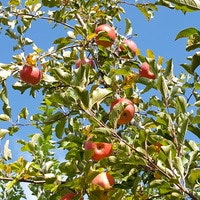 ちなみ@ナイショ♪