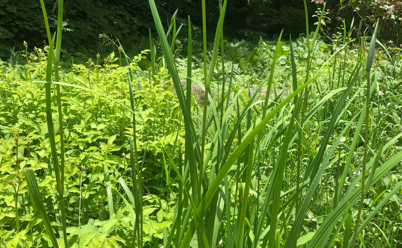 早朝読書会5週間目のふりかえりブログ