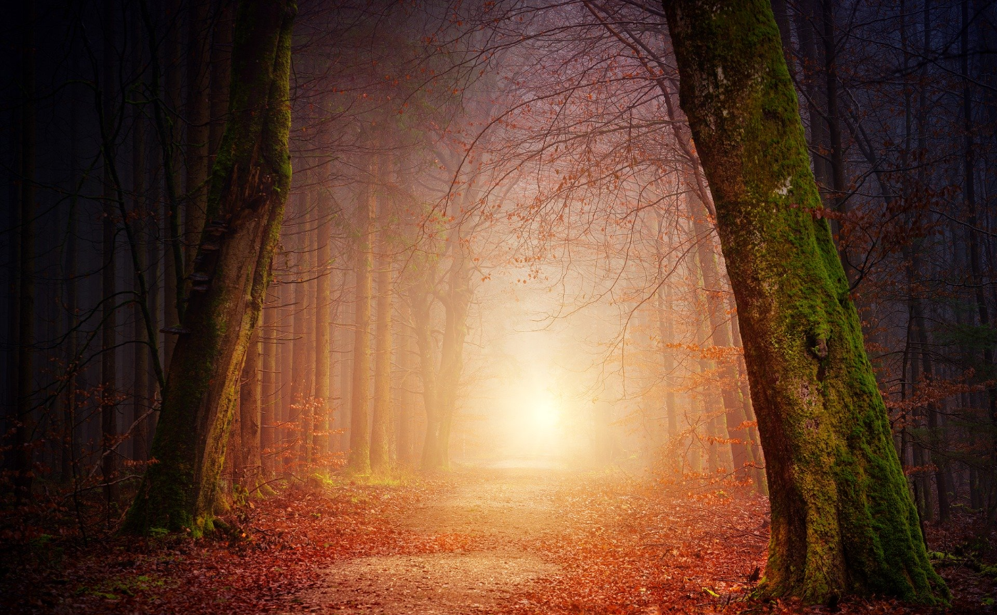 ๅถ็บใซ่บซใๅงใญใใจใใ็ใๆน