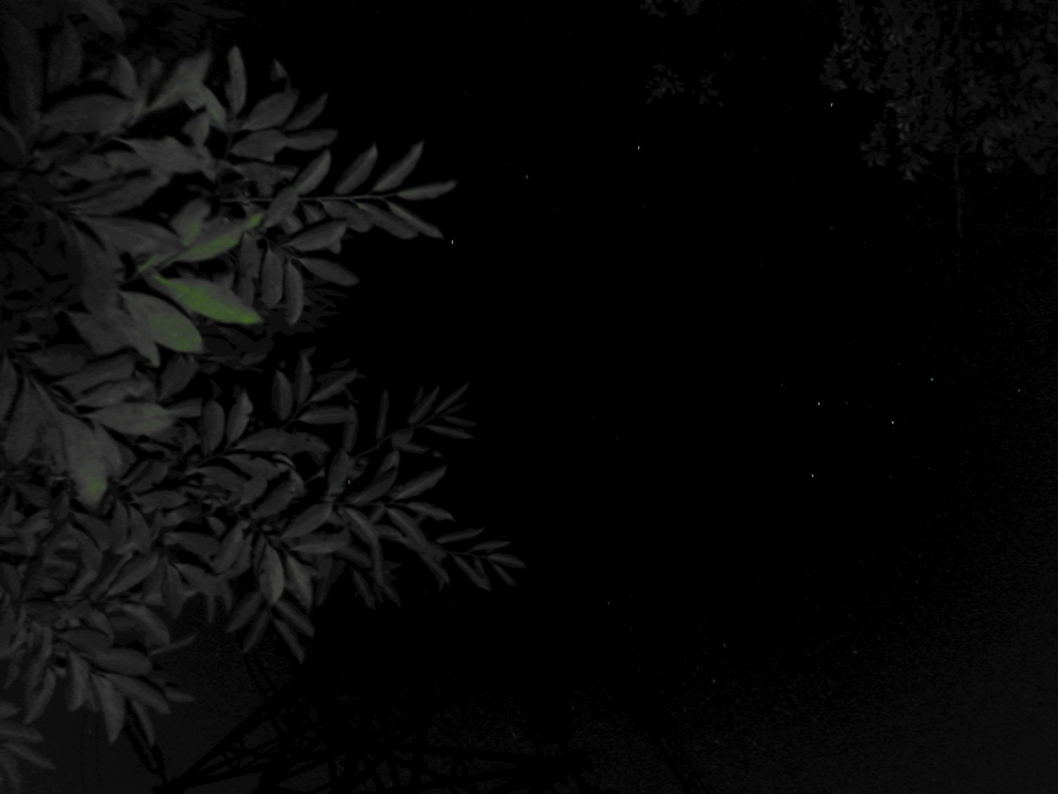 夜のクライミングwithノイズレスデザイン