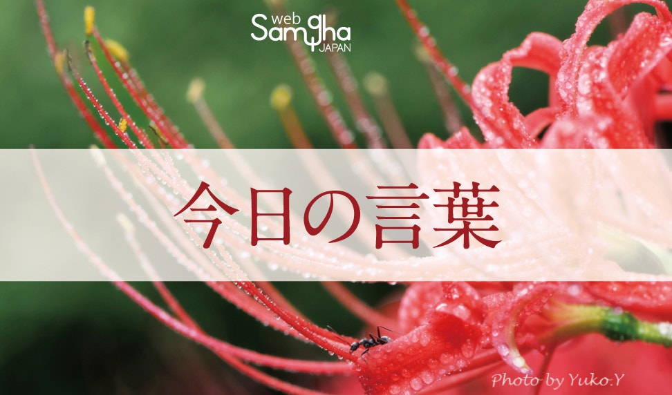 9月11日　なぜ、平和でないのか？　なぜ、幸せでないのか？