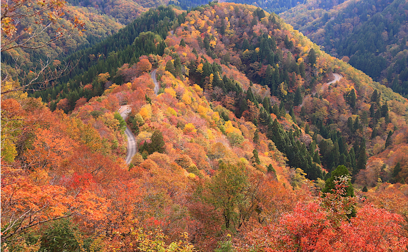 日本の「道」が秘める可能性〜自転車旅の視座から〜