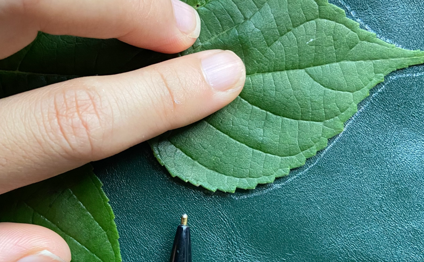 オンラインを飛び出してみたい