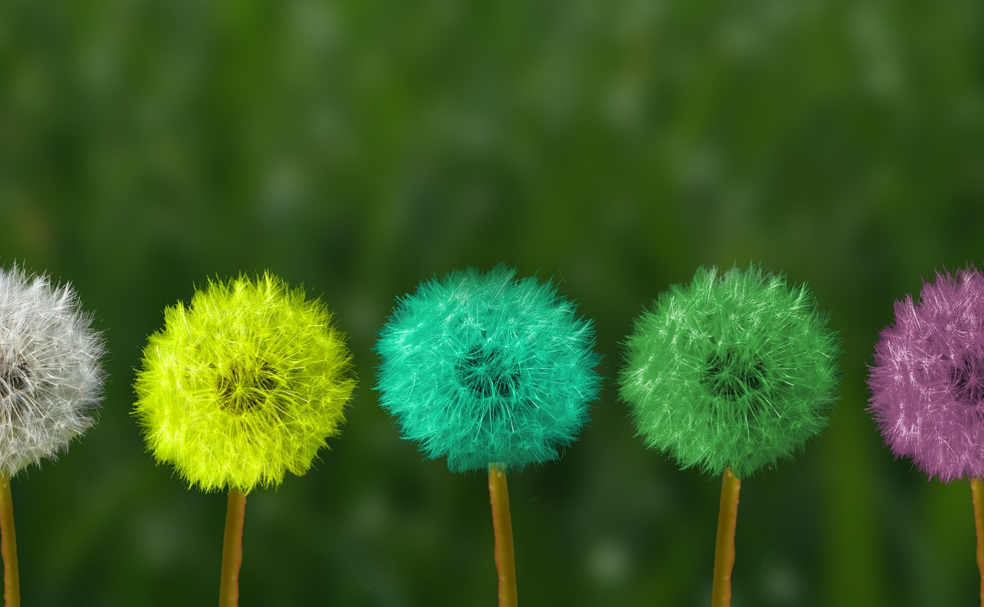 【お知らせ】教育ファシリテーション研究所マインドフルネス・セミナー開催