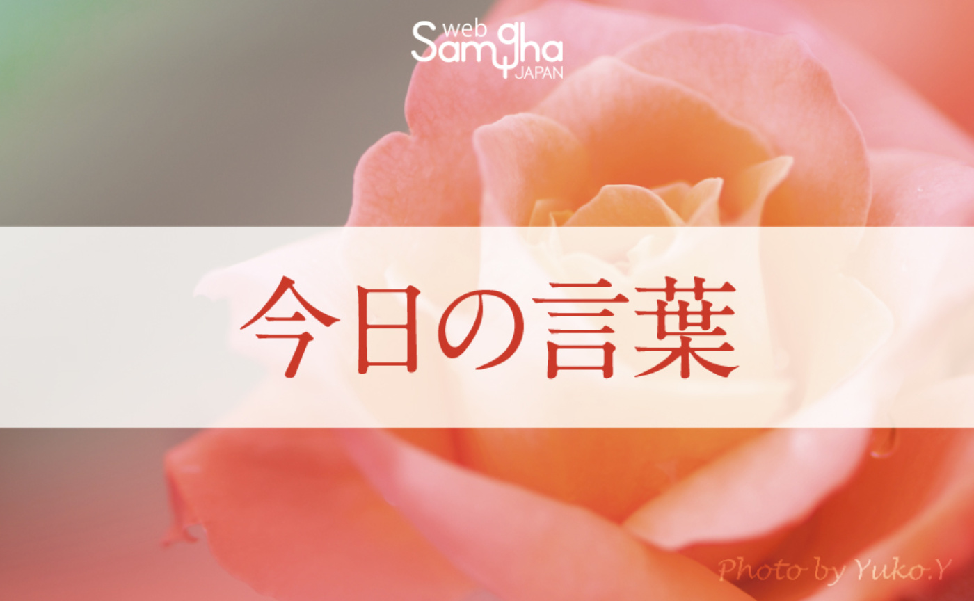 11月17日　今日の言葉　仏の教えの力