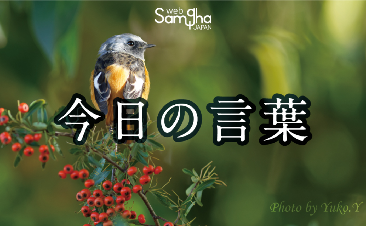 12月17日　今日の言葉　「私」はどこから生じてくるのだろうか