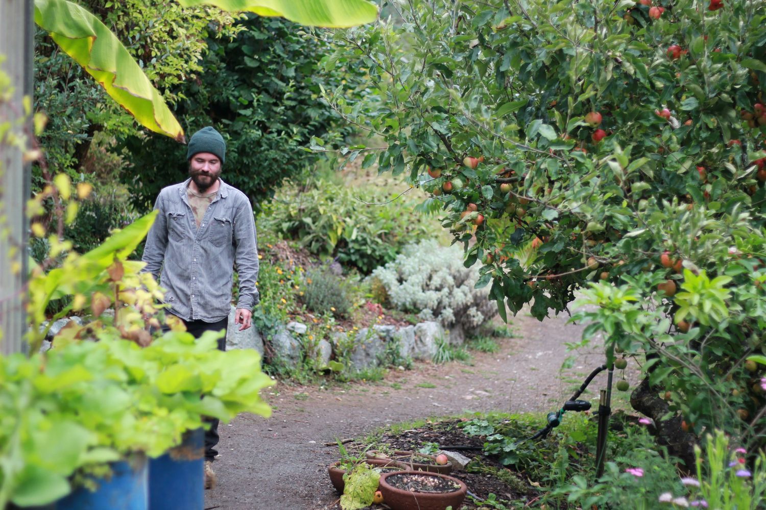 「人生が変わるパーマカルチャーの旅」体験記　前編（農場編）