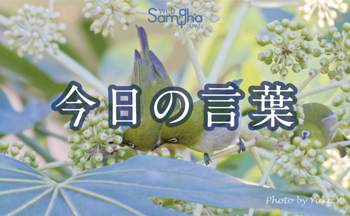 1月8日　今日の言葉　素朴な人間知