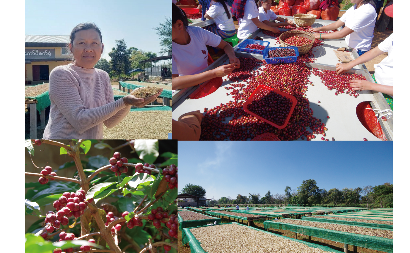 Connected〜コーヒー豆がつなぎ、創り出す新しい関係とコミュニケーション