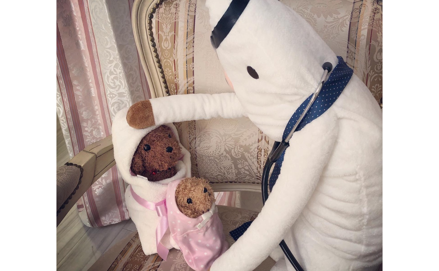 ぬいぐるみ病院ご入院　特別対応制度ができました。❤