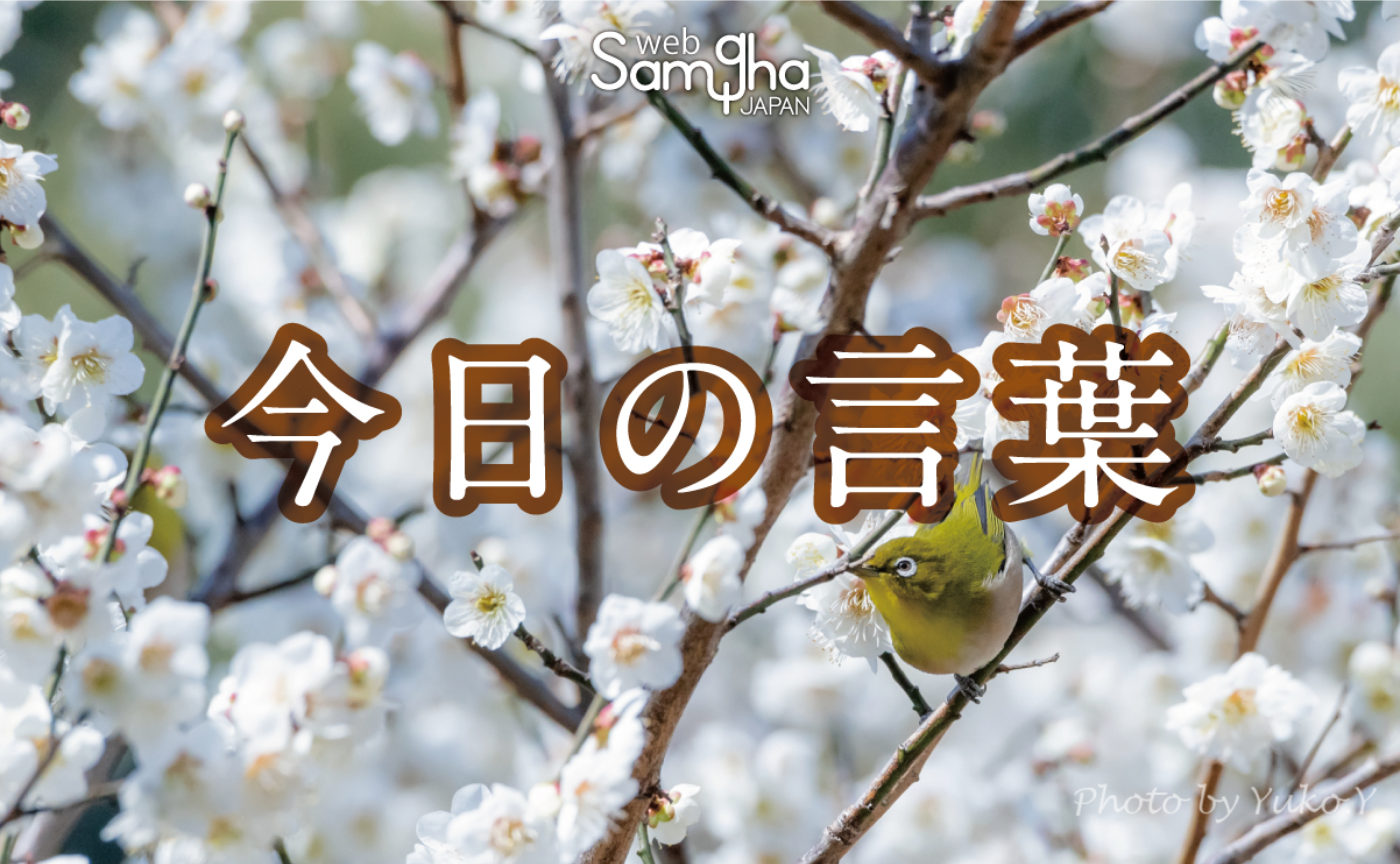 2月6日　今日の言葉　資本主義の世界を変える