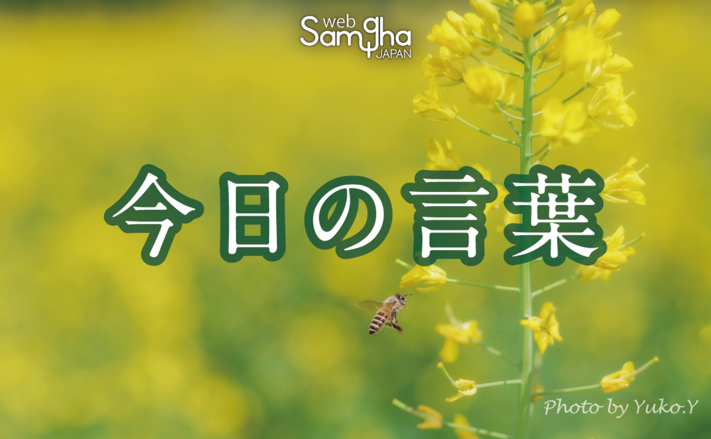 3月27日　今日の言葉　自分の物差しを手放す