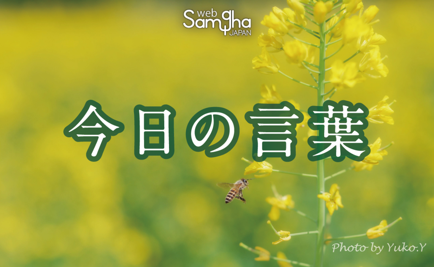 3月31日 今日の言葉 一度だけの貴重な人生