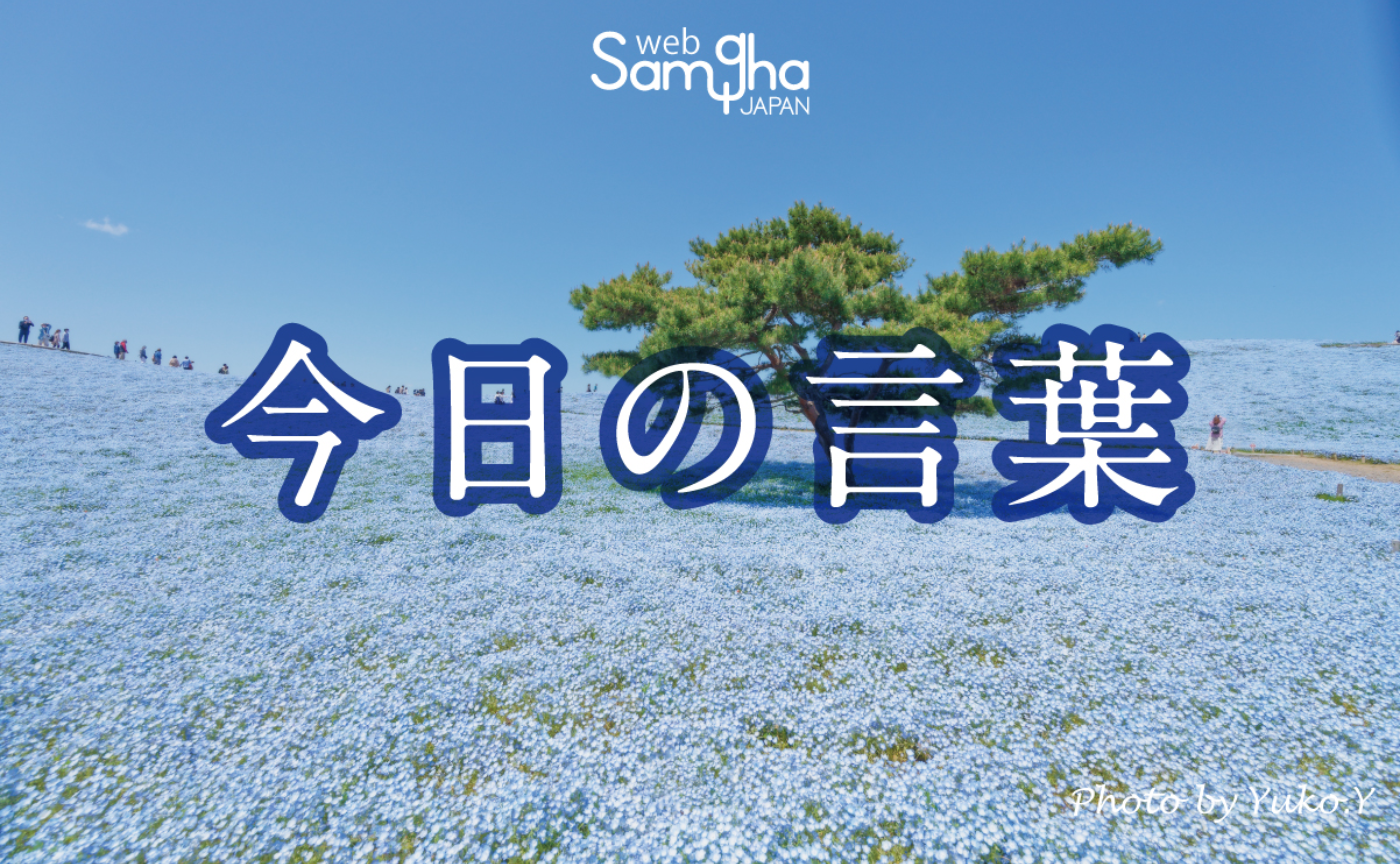 4月17日 今日の言葉 正見に基づかない瞑想