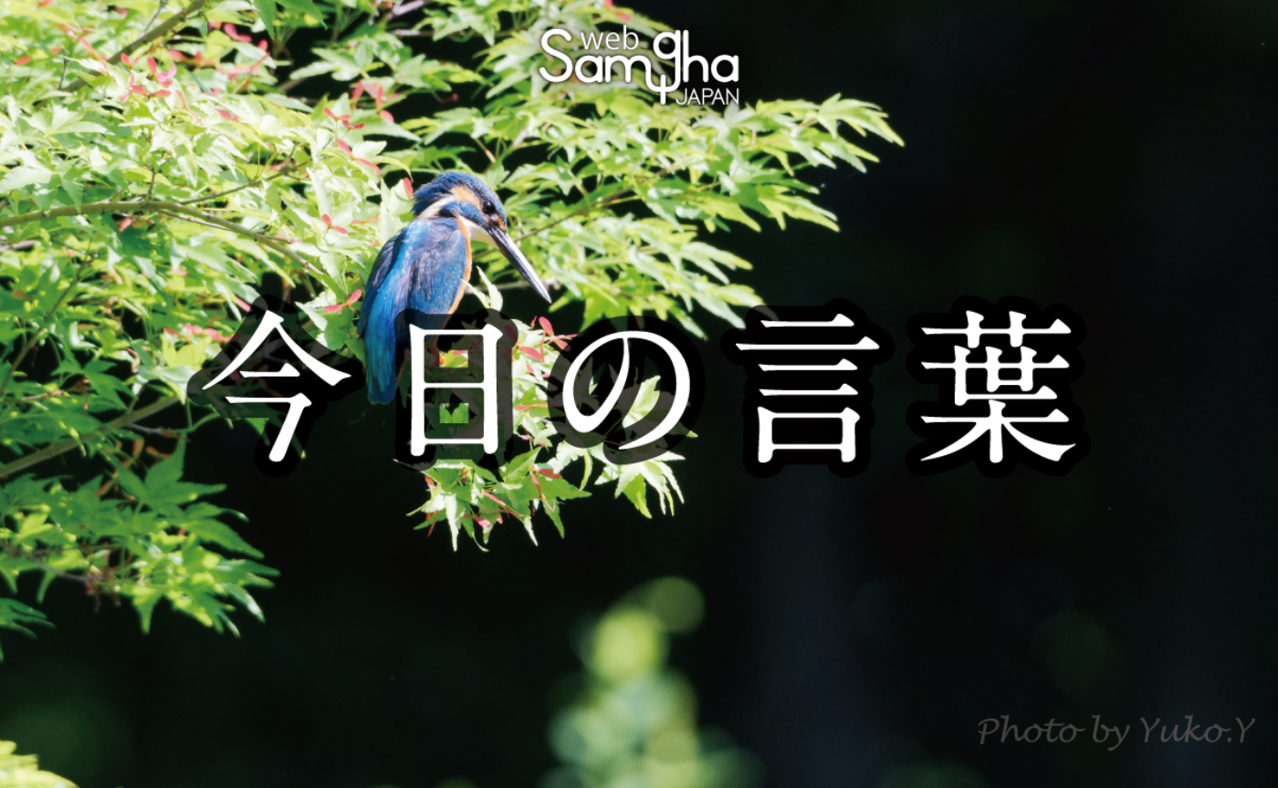 5月15日　今日の言葉　ばれたらやばいことはしない